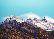 雪天怕滑倒?这样走路试试